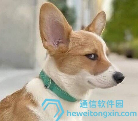 新澳門2025開獎預(yù)測