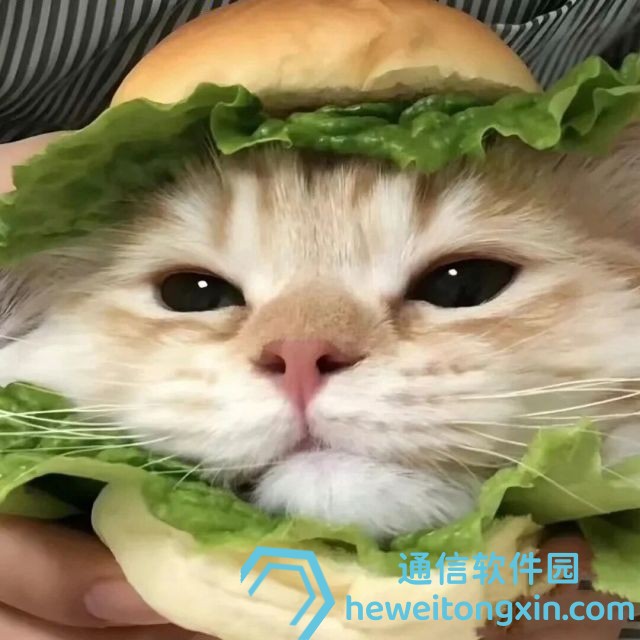 新手必看：新澳天天開獎(jiǎng)資料大全600帶你看懂每期開獎(jiǎng)規(guī)律