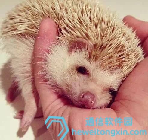 新澳門2025今晚開獎資料大全一站式下載：歷史對比與今日要點