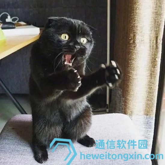 2025澳門碼今晚開獎記錄，權(quán)威數(shù)據(jù)在此一覽無遺