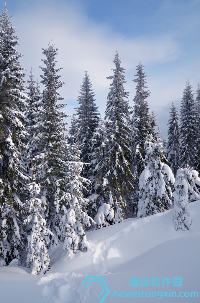 必看神器：澳門精準六肖期期準最新版，專家更新策略！